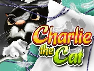 Charlie the Cat